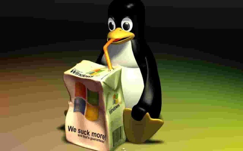 Linux系统如何卸载磁盘？