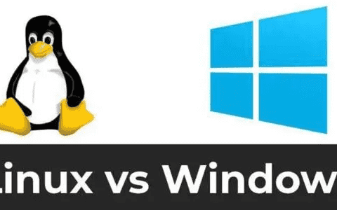 云服务器选择Linux系统好用还是选择Windows系统？