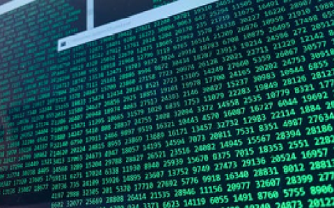 在Win10系统中使用“Windows Terminal”工具出现报错时的解决方法