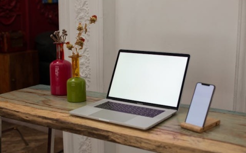 域名交易有哪些步骤