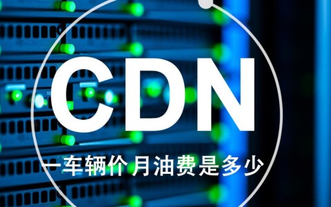 一台CDN服务器一个月真实电费是多少，总成本又如何计算？