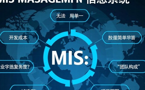 开发一个中大型MIS，预算费用一般在什么范围？