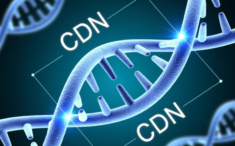 DNA长度短于CDN，这个现象真的和副链的位置有关吗？