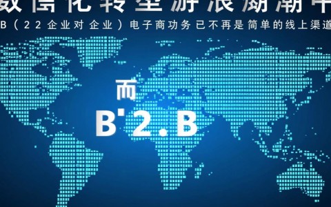 企业为什么一定要选择定制开发一套专属的B2B电商平台系统？