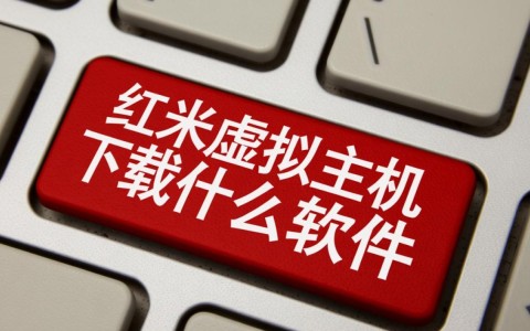 红米手机上使用虚拟主机，到底需要下载什么软件？