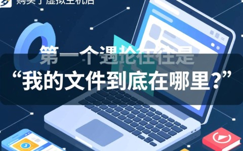 虚拟主机面板和FTP登录后，网站根目录文件夹在哪？