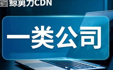 国鲸算力在CDN行业，究竟算不上一类公司？