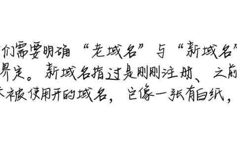 老域名和新域名哪个对网站SEO排名更有利？