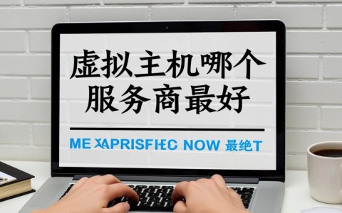 新手站长如何选择稳定快速的虚拟主机服务商？