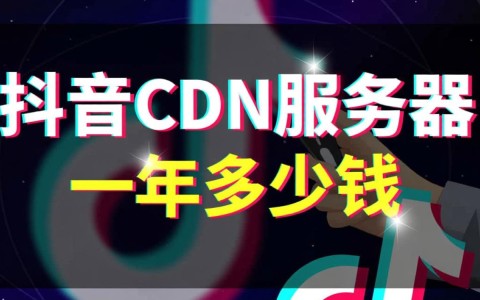 请问企业租用抖音的cdn服务器一整年，总的预算成本是多少呢？