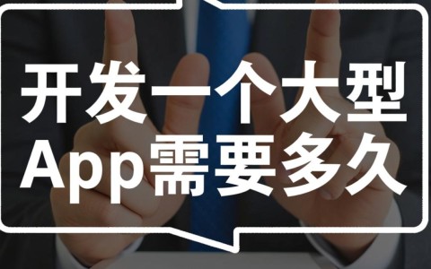 功能复杂的大型App，从策划到上线开发要多久？