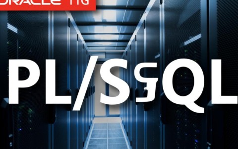 如何为Oracle 11g配置PLSQL并成功连接？