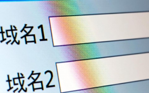 网站设置时，域名1和域名2分别是什么，具体怎么填？