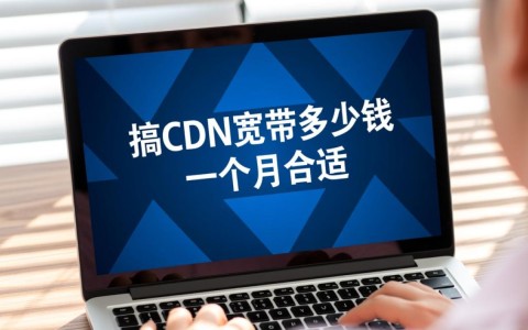 企业cdn宽带一个月投入多少预算才算性价比高？