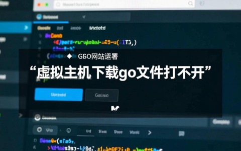 虚拟主机下载go文件打不开，要如何正确打开？