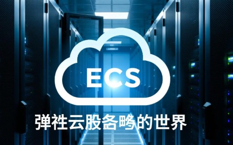 弹性云服务器新手入门，首次登陆具体该如何操作？