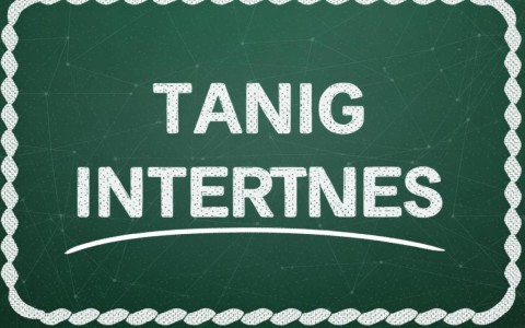 九大顶级域名哪个最适合自己的网站类型与SEO优化？