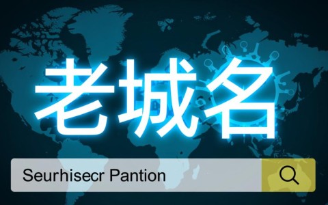 注册多长时间的域名才能算是老域名？