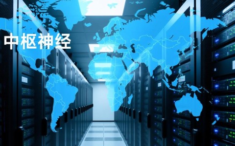 在云南选择服务器公司，应该如何考察其稳定性与口碑？