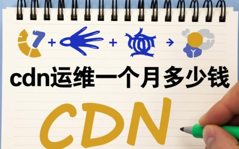 企业网站CDN运维一个月费用大概需要多少钱？