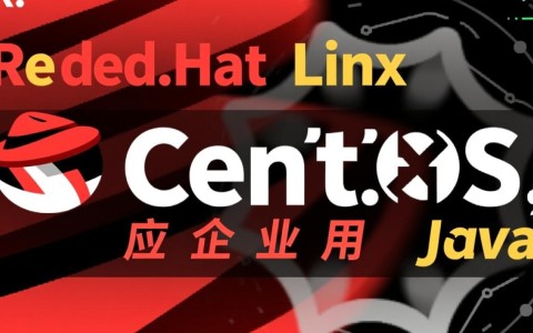 如何在CentOS上配置JDK环境变量？