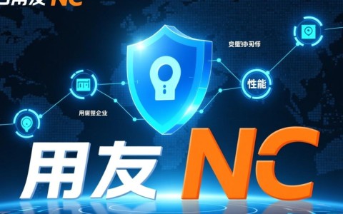 用友NC专属云部署架构图的核心设计思路是什么？