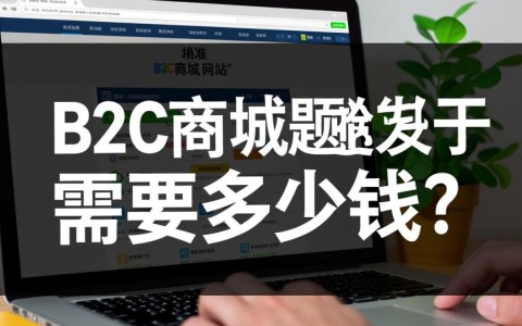 B2C商城网站开发价格由哪些部分构成，大概要多少钱？