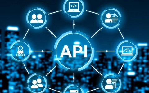api.coord是什么？如何正确使用api.coord功能？