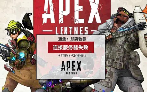 apex连接服务器失败怎么办？常见原因及解决方法分享