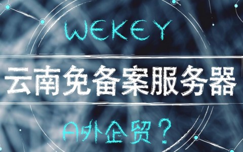 云南免备案服务器真的好用吗？速度稳定吗？
