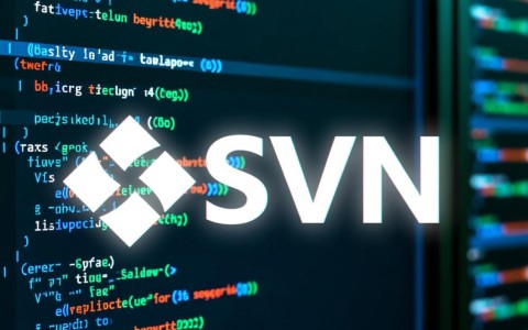 apachesvn服务器怎么搭建？配置步骤有哪些？