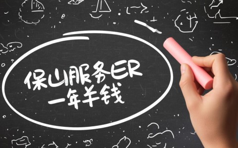 保山服务器租用一年大概需要多少钱？