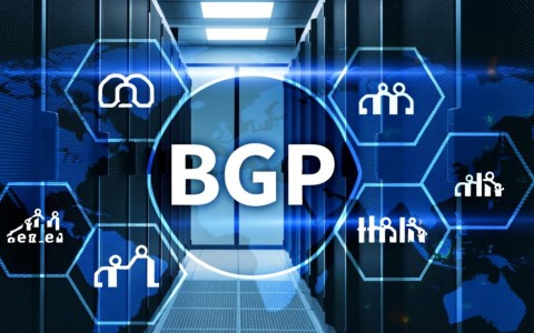文山BGP服务器租用价格和性能怎么样？
