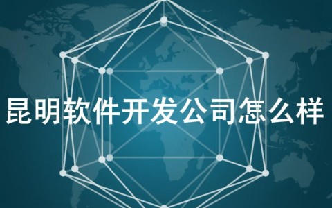 昆明软件开发公司实力如何,收费真的透明吗?