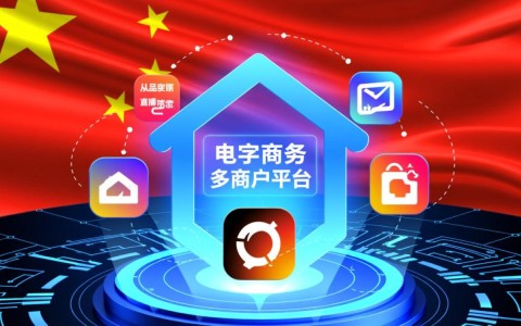 国内电商开发软件公司做一个平台需要多少钱？