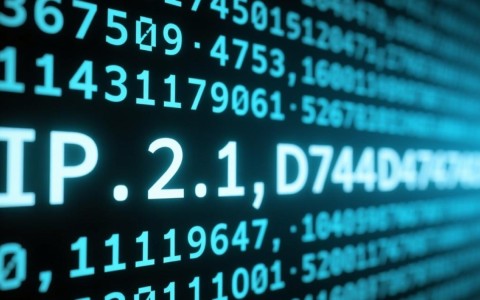 域名绑定主机后，具体应该如何解析设置？
