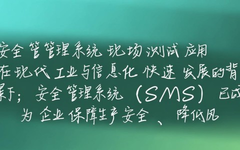 安全管理系统现场测试应用如何有效落地？