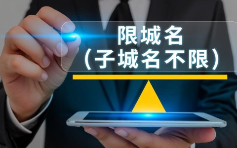 域名限制但子域名不限，如何巧妙利用这个规则？