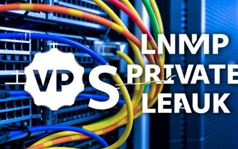 VPS的LNMP环境绑定域名并解析的具体步骤是什么？