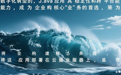 Java云服务器安全设置，具体该如何操作才能有效防护？