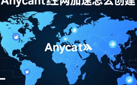 Anycast公网加速创建步骤是什么？新手怎么快速上手？