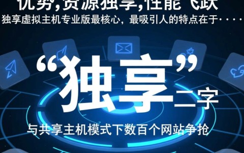 独享虚拟主机专业版有哪些独特优势值得购买？