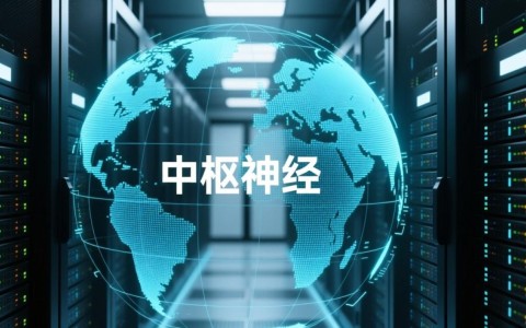 云南推广服务器虚拟主机，对本地中小企业究竟有何大优势？
