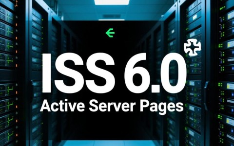 IIS6配置ASP失败，如何一步步详细排查并解决500错误？