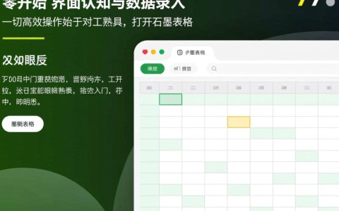 新手如何6步高效玩转石墨表格，快速变身数据达人？
