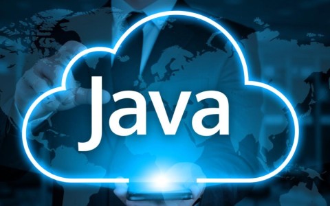 如何选择适合自己项目的Java云服务器版本？