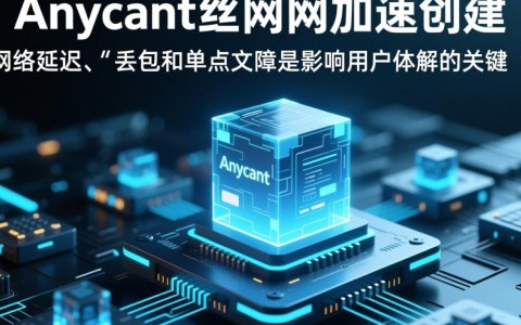 Anycast公网加速创建如何实现高效稳定的全球网络加速?
