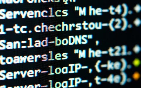 Linux下查看DNS服务器IP的命令是什么？