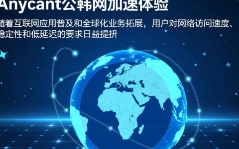 Anycast公网加速体验如何，真能提升访问速度吗？