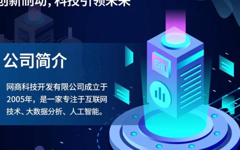 网商科技开发有限公司的商业模式和未来发展有何独特之处？